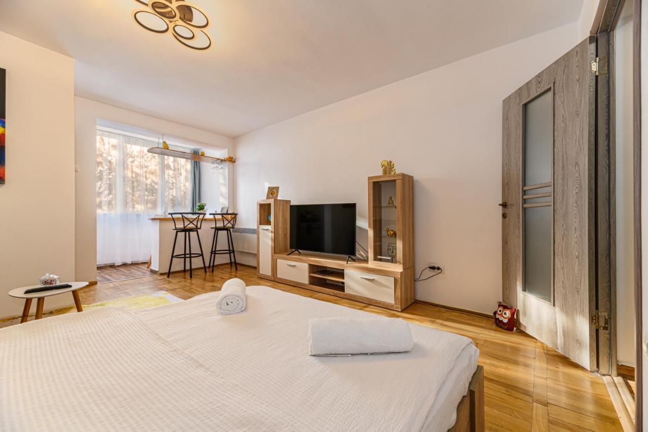 Jad - Family - Apartments & Studios Brašov Exteriér fotografie