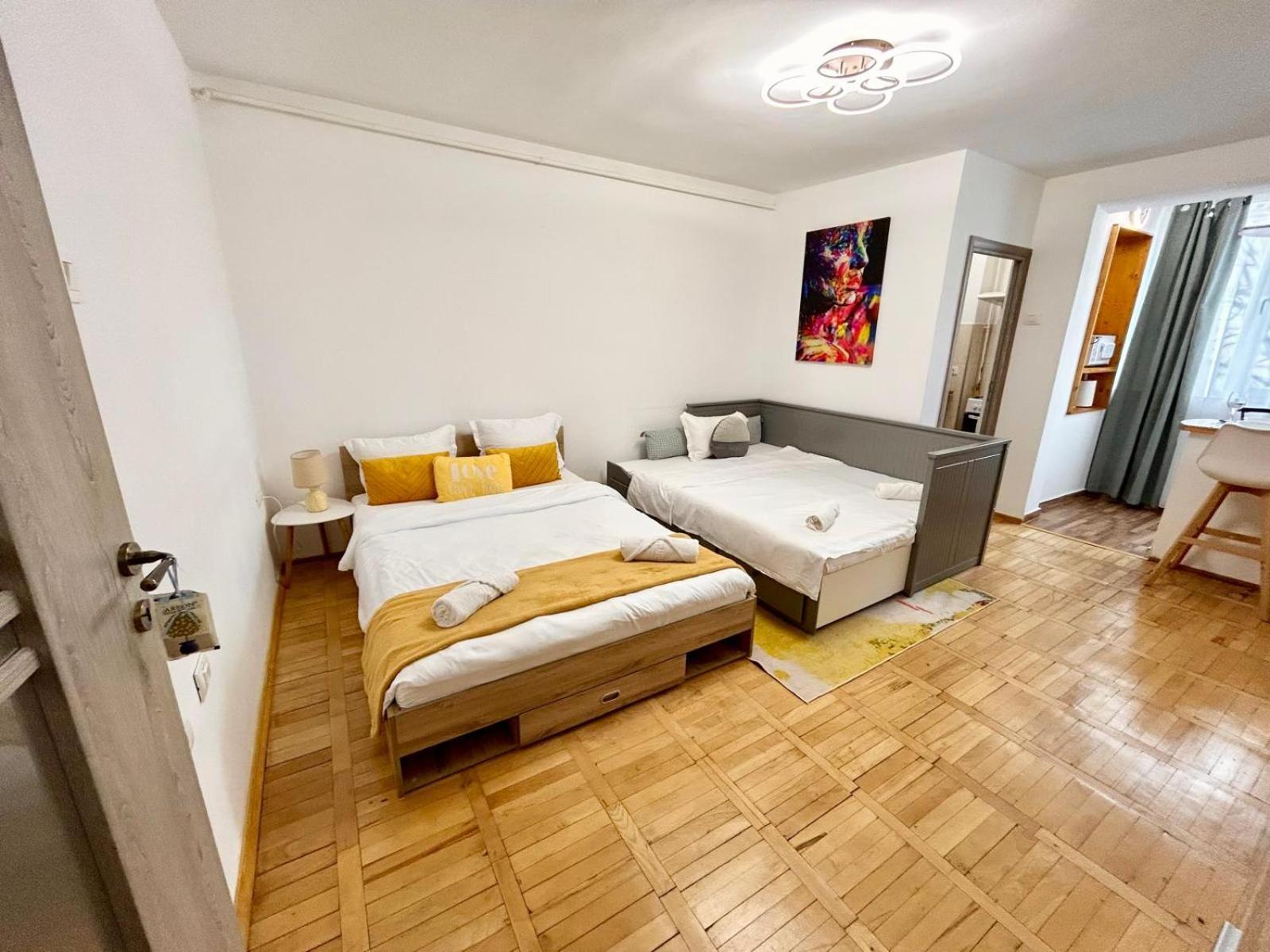 Jad - Family - Apartments & Studios Brašov Exteriér fotografie